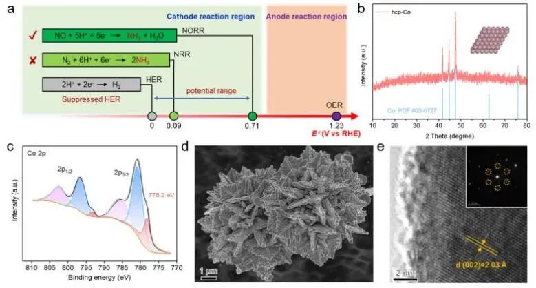 王双印/陈晨JACS：法拉第效率高达72.58%！六方钴纳米片高效电催化NO还原制NH3