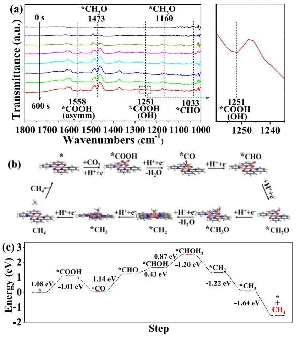 计算文献速递：Nature Catalysis、EES、JACS、Chem、EnSM、Nat. Commun.等！