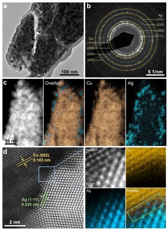 催化顶刊集锦：Nature、JACS、EES、ACS Catal.、ACS Nano、Small等成果精选！