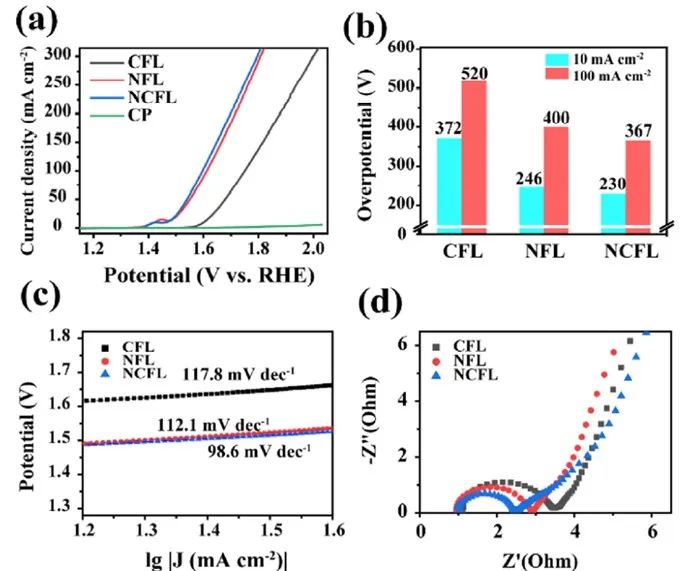 ​北师大/内大ACS Catalysis：揭示铁基层状双氢氧化物的自旋磁效应