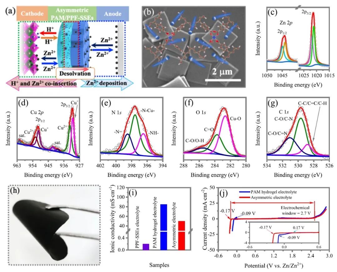 ​支春义教授，最新Nature子刊！