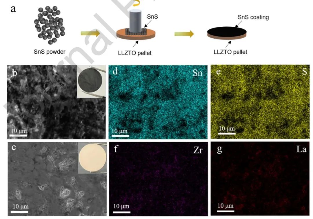 纪效波Nano Energy：原位构建多功能夹层实现无枝晶固态电池