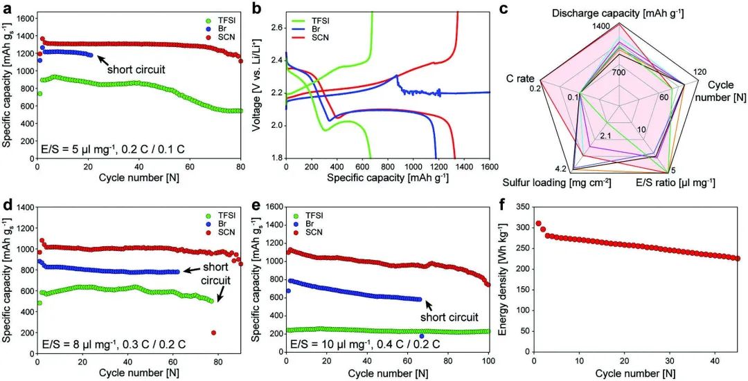 Adv. Sci.：合理选择盐阴离子以同时应对硫正极钝化和锂负极退化