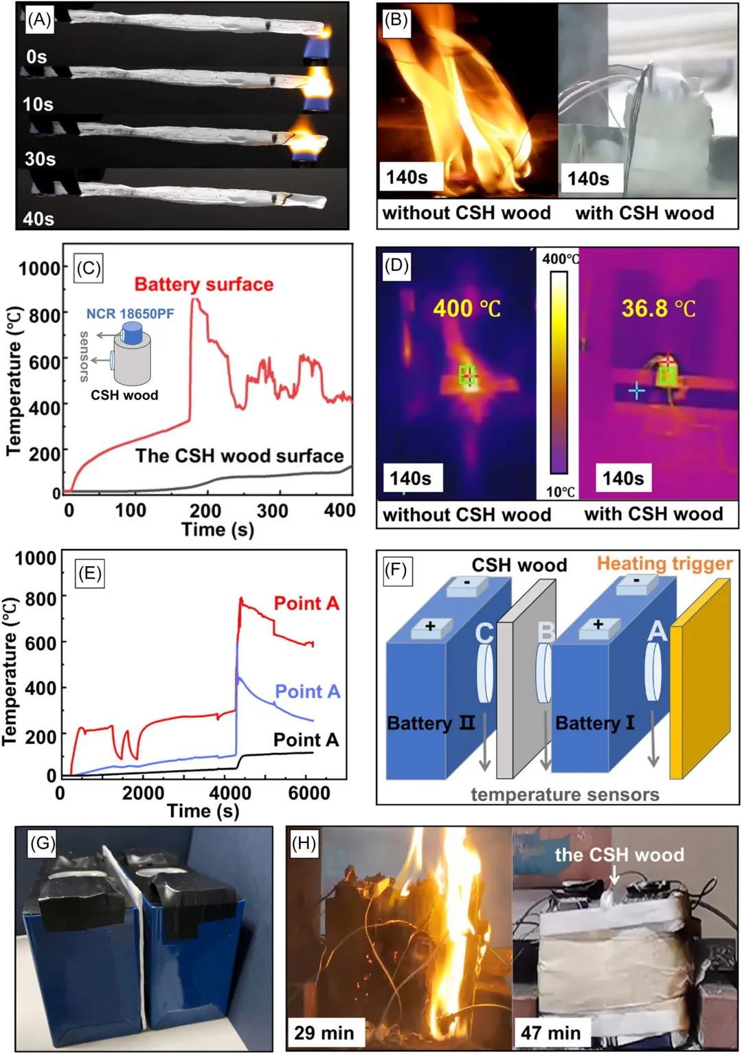 佘伟/章炜/李恬Carbon Energy：受木材启发的隔热阻燃材料助力电池保护