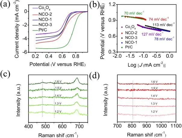 催化日报顶刊集锦：Angew./AFM/Small Methods/NML/ACS Catal./ACB等成果