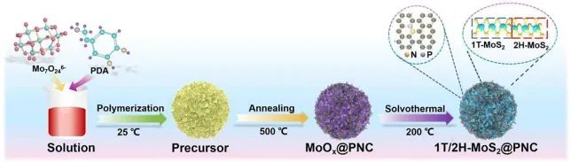 8篇催化顶刊：Angew.、AFM、Small、Appl. Catal. B.、Chem. Eng. J.等