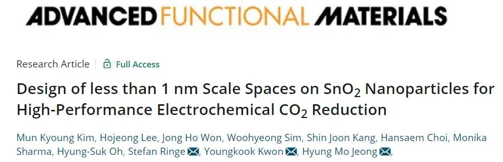 三单位联合AFM: 亚纳米结构助力SnO2纳米颗粒高效电催化CO2RR