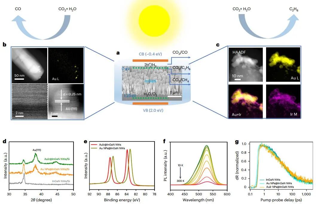 米泽田/宋俊/周宝文，最新Nature Catalysis！