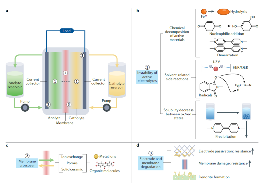 IF=34.035！余桂华教授等人，最新Nature Reviews Chemistry！