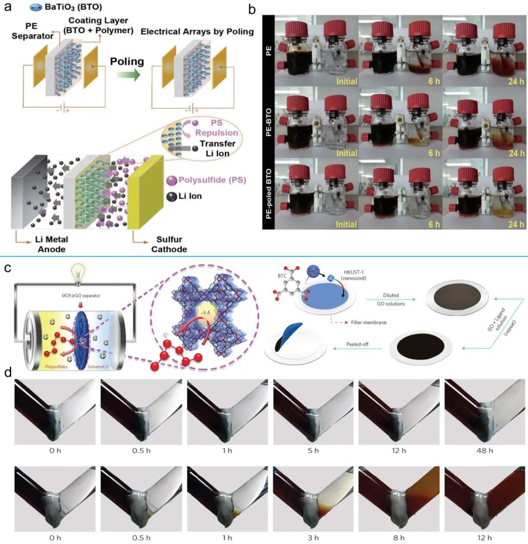 西南大学徐茂文EEM：一文尽览锂硫电池改性隔膜研究进展！