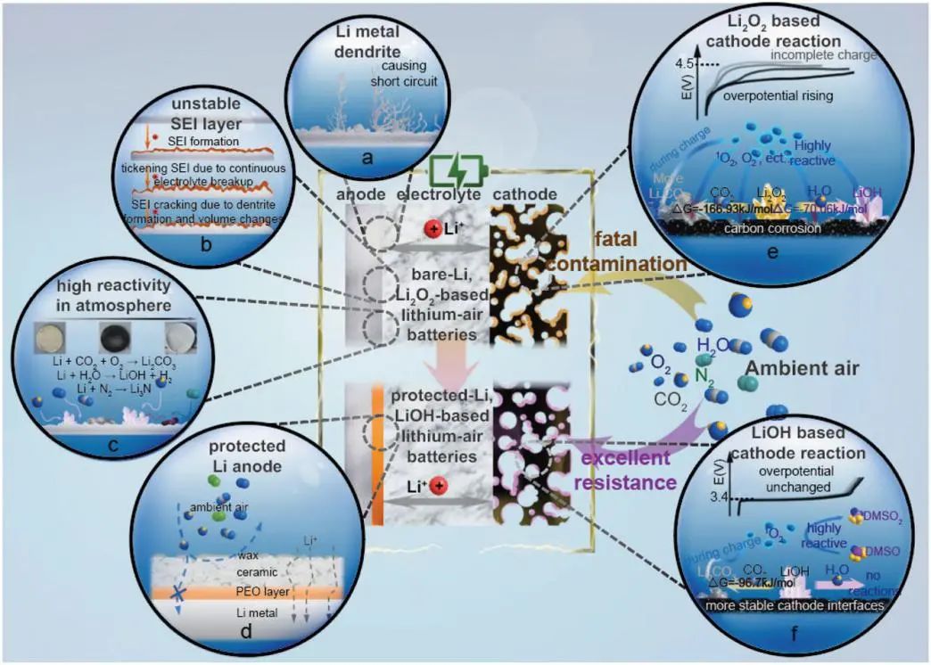 东南&同济Adv. Sci.: 防水锂负极+LiOH正极=长寿命高能锂空气电池