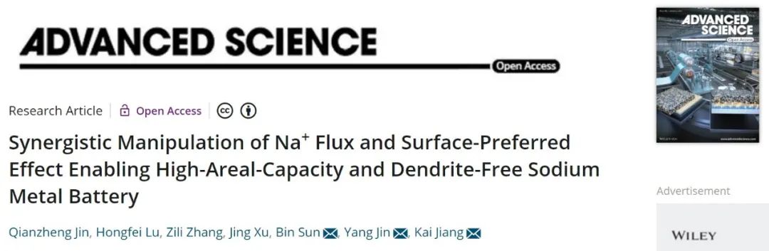 蒋凯/金阳/孙彬Adv. Sci.：三维互穿合金钠负极实现高面容量无枝晶钠金属电池