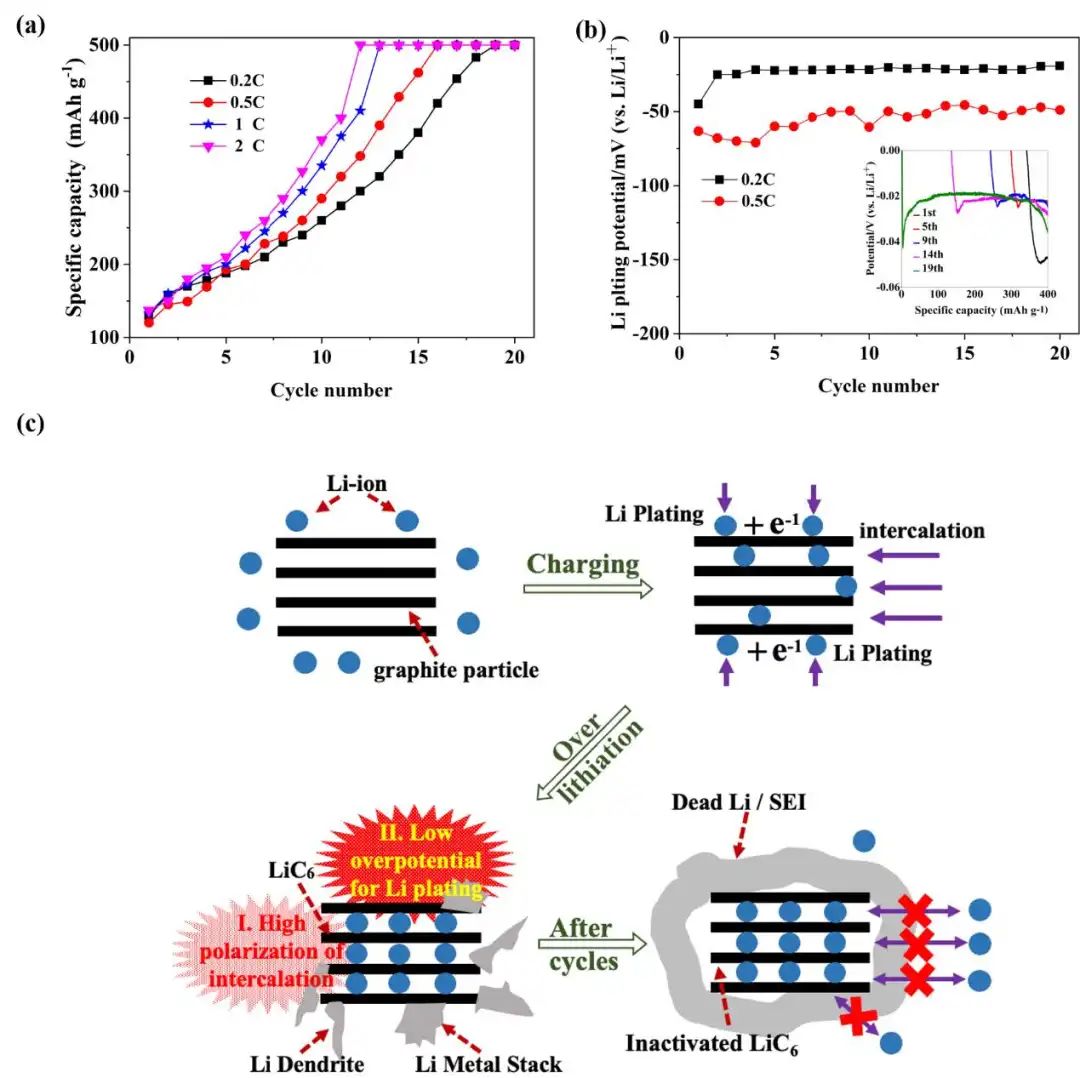 防化研究院/清华大学EEM：析锂诱导石墨负极退化的新见解