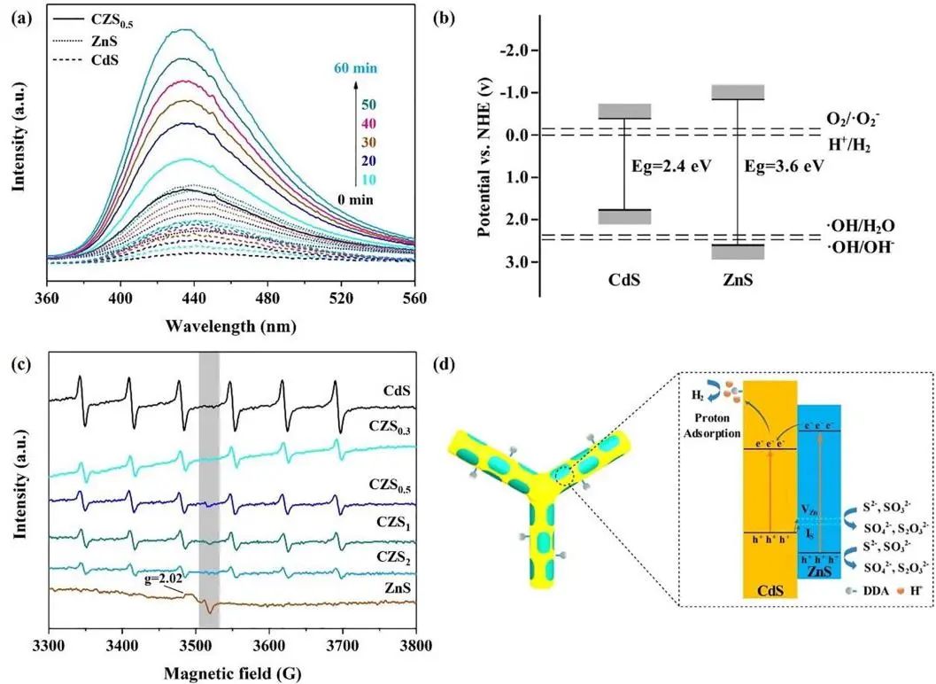 催化顶刊集锦：AFM、Appl. Catal. B.、Small、EnSM、Chem. Eng. J.等最新成果