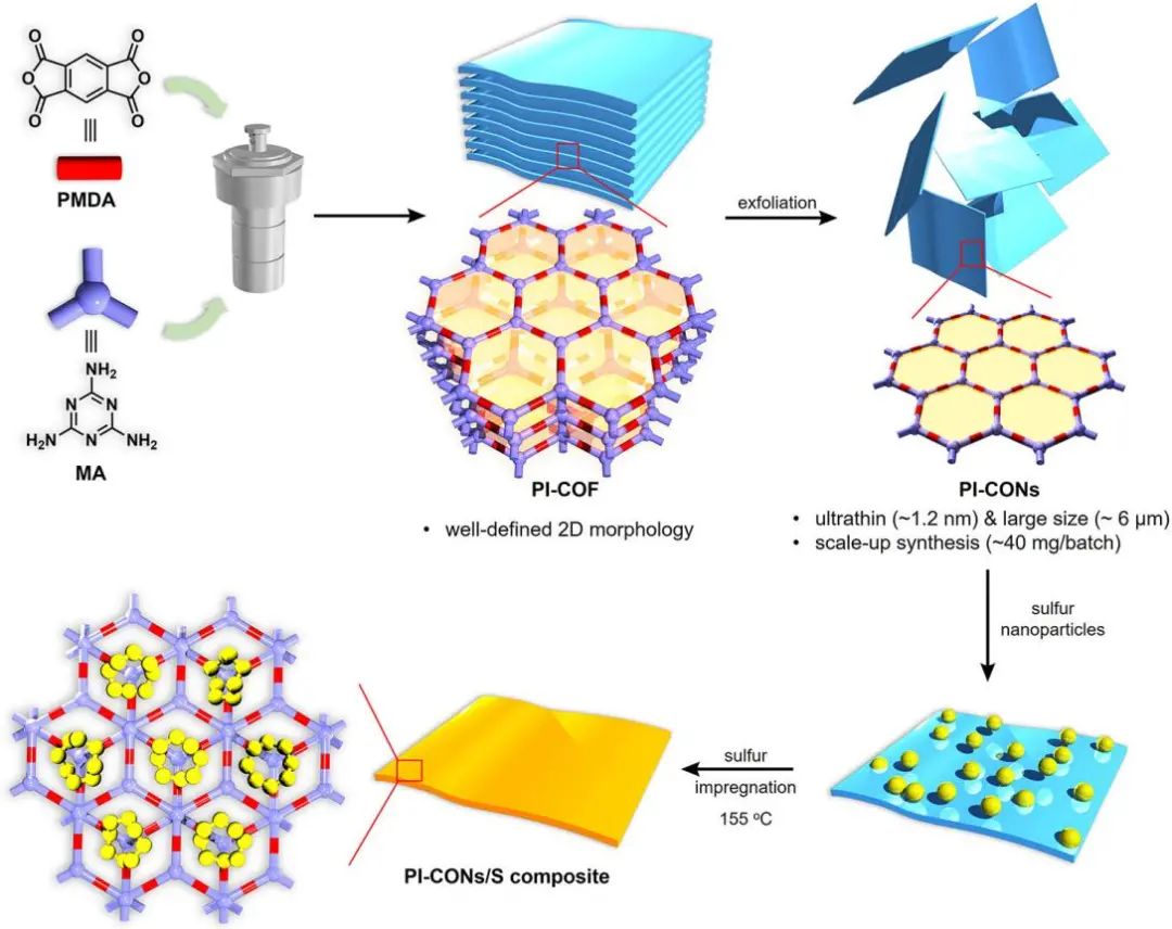 暨大/利物浦大学JACS：批量合成用于高性能Li-S电池的超薄聚酰亚胺COF纳米片