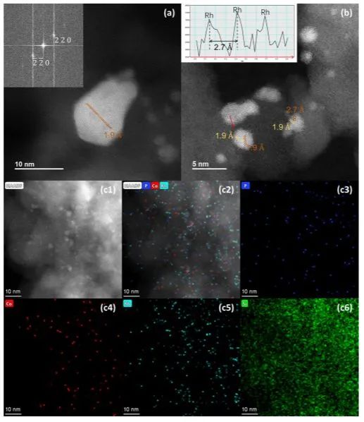 清华王铁峰ACS Catalysis: 吸附和表面反应促进Rh8-xCoxP4双金属磷化物催化苯乙烯加氢甲酰化活性