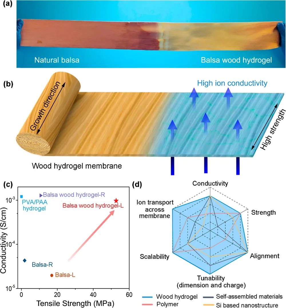 “木头大王”最新成果：离子导电率提高2个数量级、强度3倍的木材水凝胶膜
