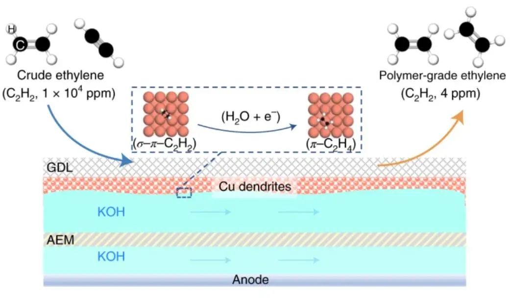 这个团队就是牛！7天连发Nature Catalysis、JACS、Angew.三篇顶刊