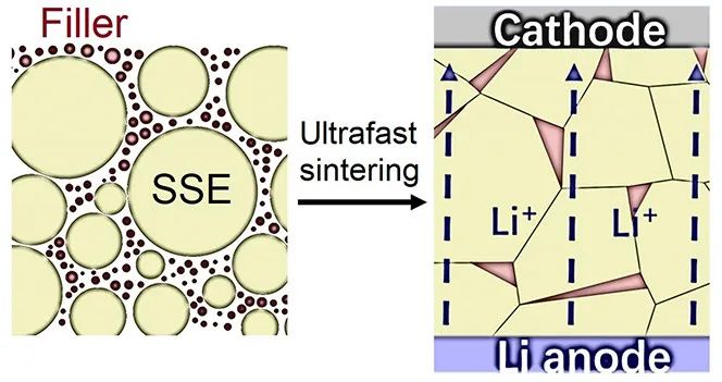 胡良兵ACS Energy Lett.：几十秒！具有挥发性填料固体电解质的超快烧结