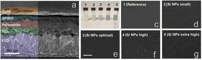 电池顶刊集锦：AFM、AM、ACS Energy Lett.、EnSM、Nano Lett.、Nano Energy等