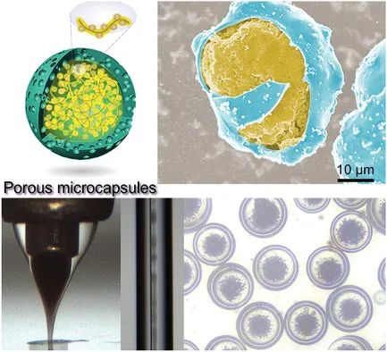 电池顶刊集锦：EES、EER、AEM、EEM、ACS Nano、Small等最新成果