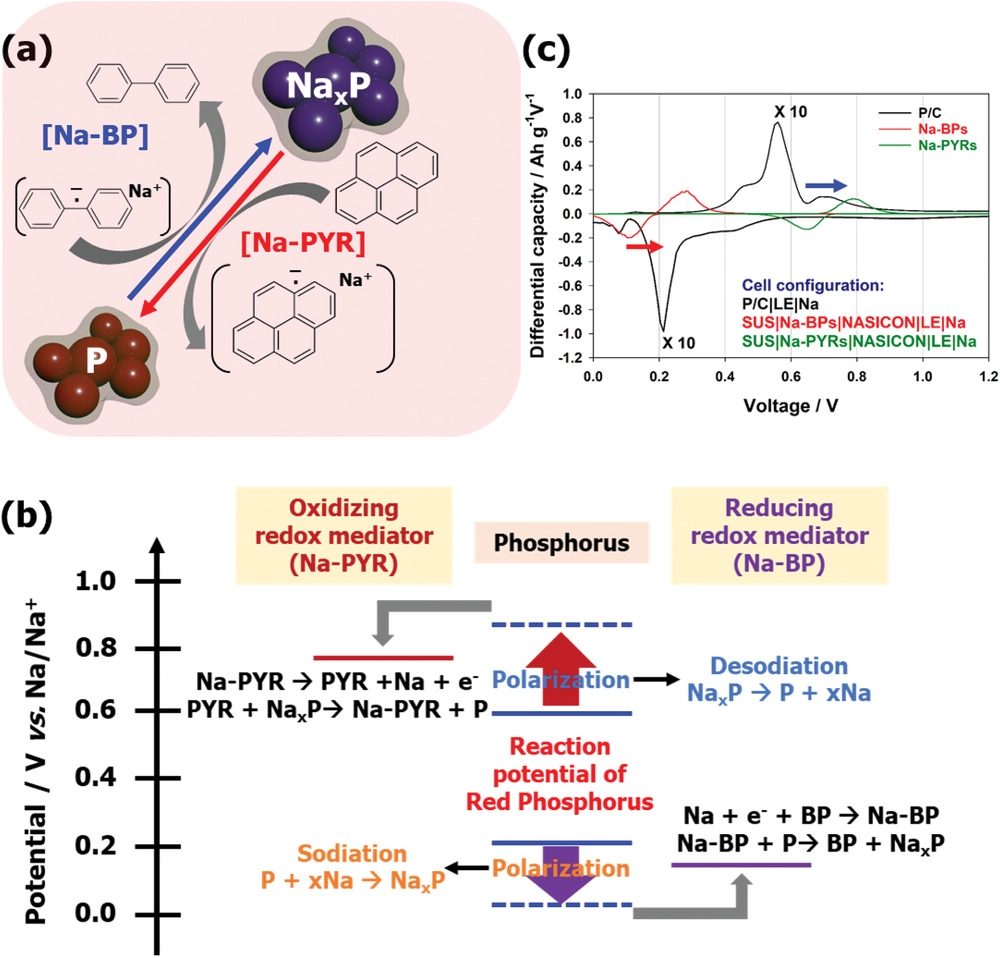 ​电池顶刊集锦！EES、AEM、AFM、JACS、ACS Nano、Small等最新成果速览