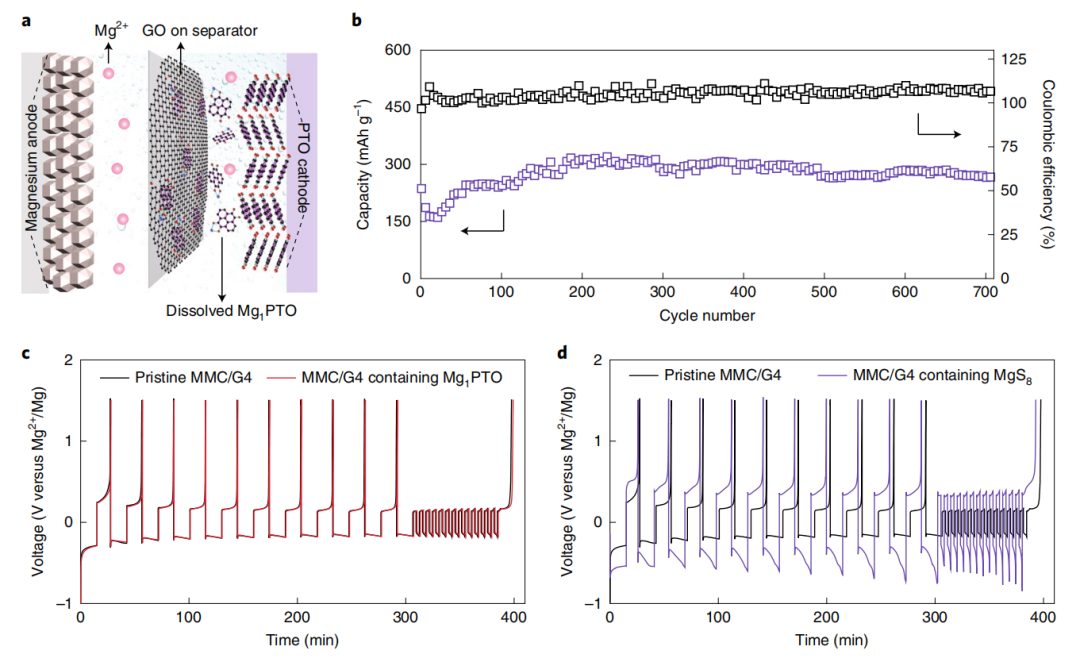性能大突破，镁电登顶Nature Energy！