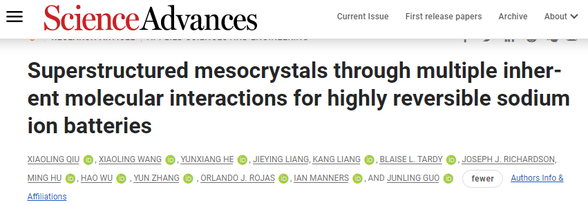 川大张云/郭俊凌/吴昊Sci. Adv.: 用于高度可逆钠离子电池的多种固有分子相互作用的超结构介晶
