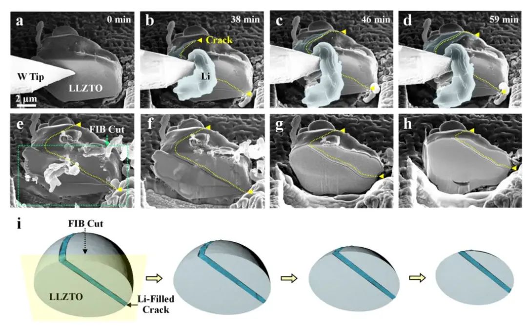黄建宇/张宿林等EEM: 石榴石固体电解质中锂沉积诱导开裂的原位观察