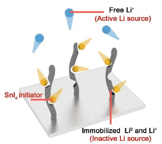 清华大学张强Angew：回收“死锂”提高实用锂金属电池两倍寿命
