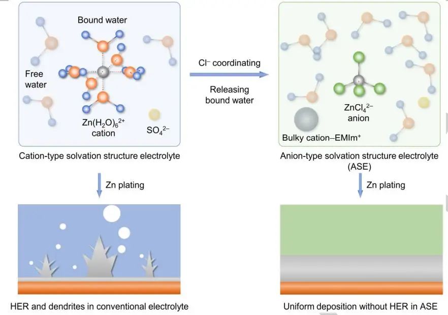 南开陈军院士Angew: 用于坚固锌金属负极的阴离子型无水Zn2+溶剂化结构设计