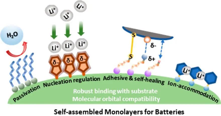 纳米所陈立桅/沈炎宾JACS: 用于电池的自组装单层膜综述