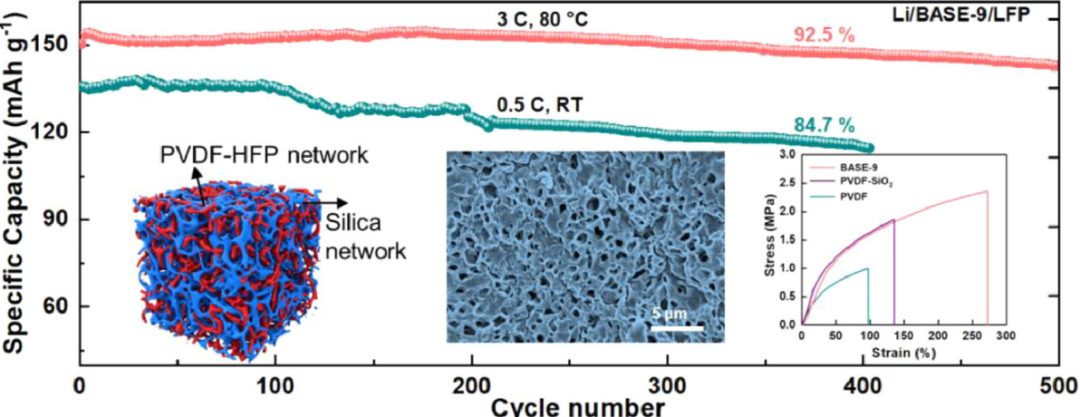 ​Energy Storage Materials：仿生蚁巢固态聚合物电解质的合理设计