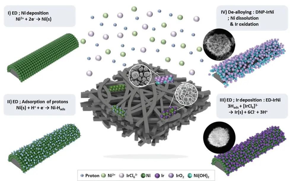 EES：首次报道！3D DNP-IrNi电催化剂助力PEMWE