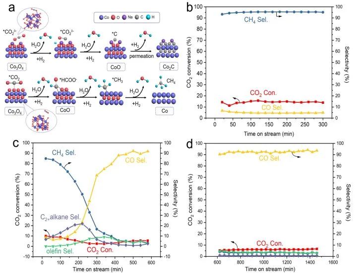 催化顶刊集锦：Angew./JACS/AFM/ACS Catal./Small等最新成果