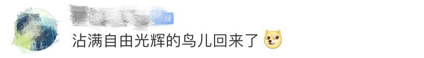 游泳过河，去吃火锅！“高校版肖申克的救赎”火了，网友评论很上头...