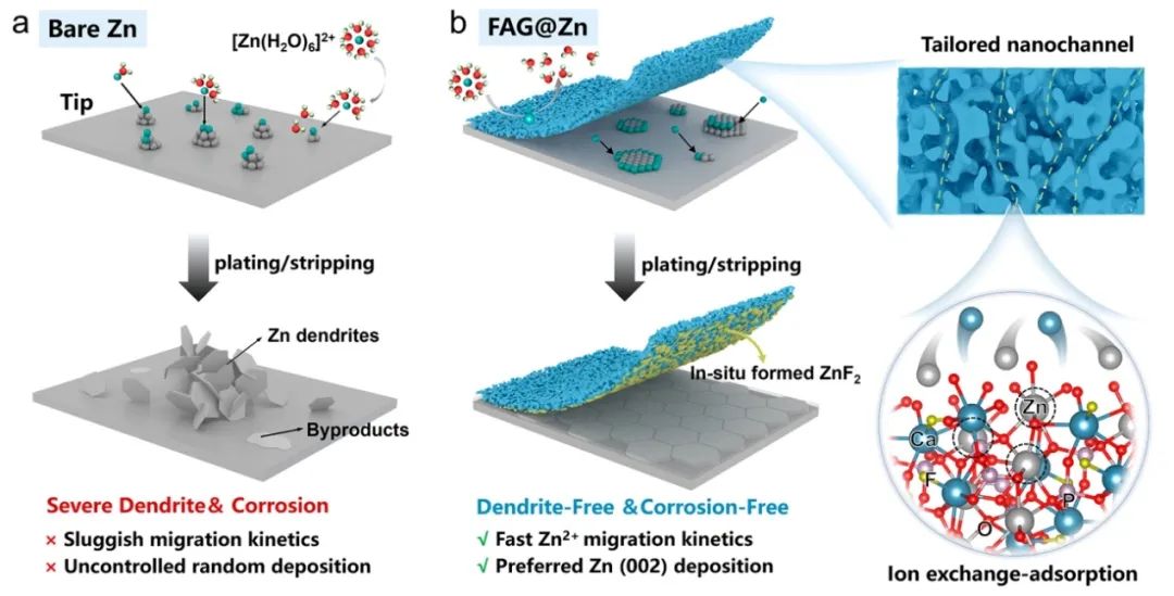 ​KAUST/江大ACS Nano：通过增强离子传输动力学和调节Zn(002)沉积实现高度可逆的Zn负极