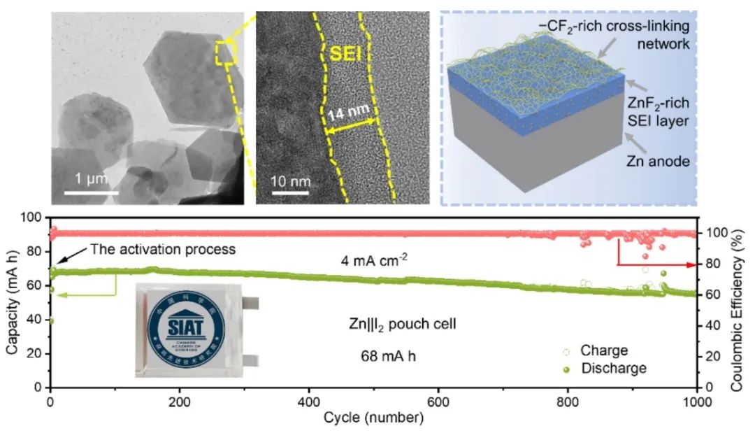 先进院韩翠平Angew：富氟双保护层实现高可逆水系锌离子电池