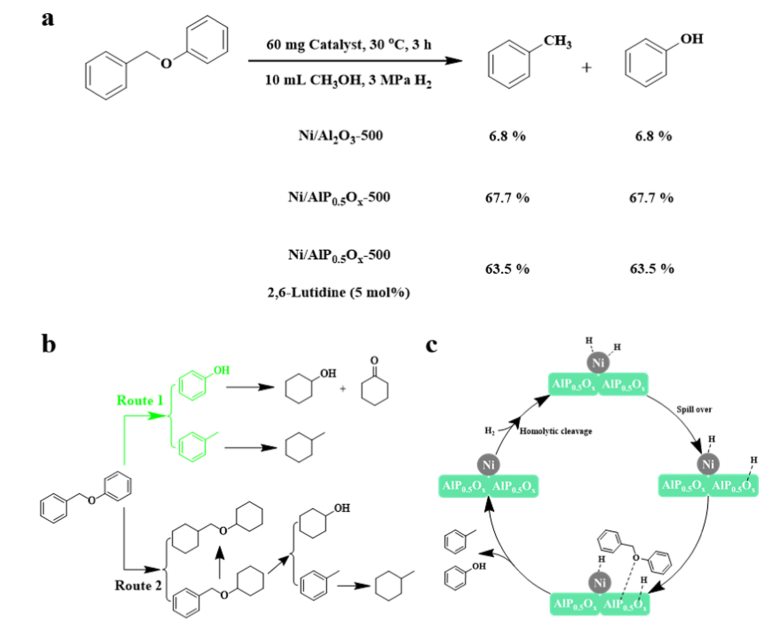 中科大傅尧ACS Catalysis: Ni/AlPyOx 催化裂解C-O 键