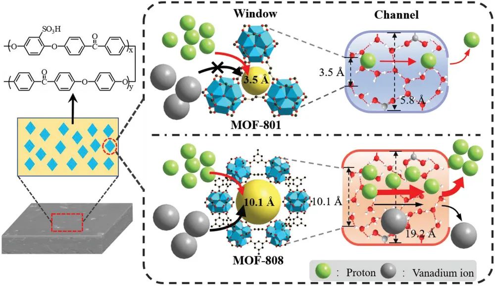徐至/黄康AFM：Zr-MOF促进液流电池膜的可控离子筛分和质子电导率
