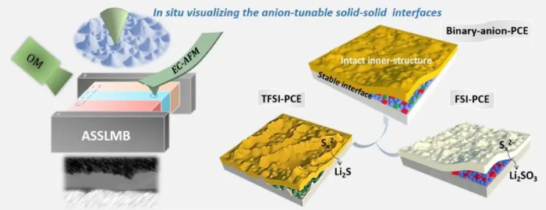 文锐EnSM: 全固态锂硫电池阴离子可调界面稳定性的演化过程和降解机制