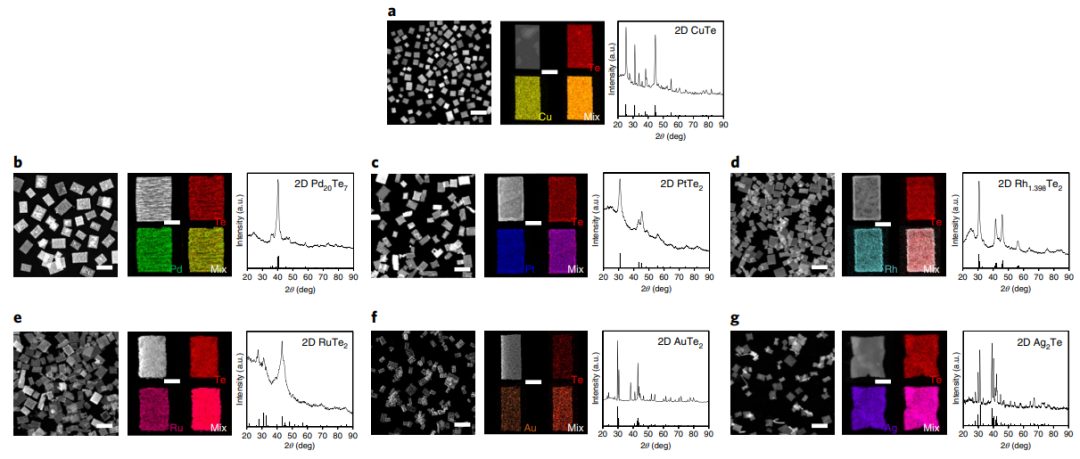 黄小青&徐勇等合作，最新Nature Synthesis！