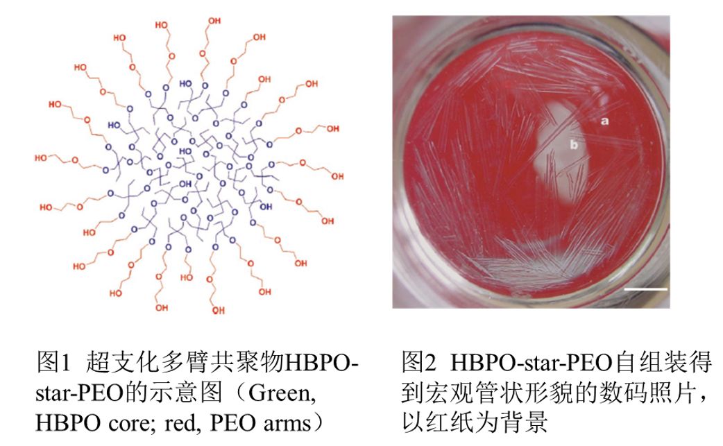 文章不厌百回改！回眸上海交通大学的第一篇Science