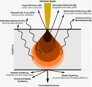 【表征】扫描电镜（SEM）中产生不同类型电子是如何被检测出到的，它们可以提供哪些信息？