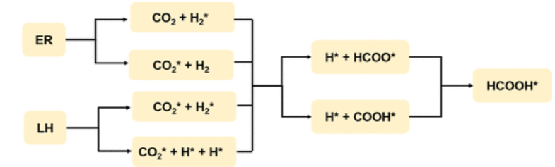 【计算论文精读】ACS ANM: 石墨烯负载锡单原子催化剂用于CO2加氢制HCOOH