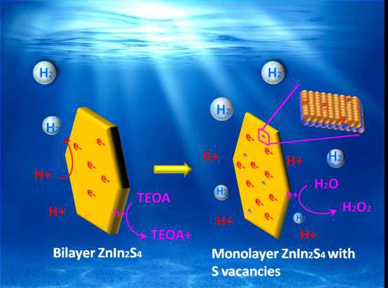 中山大学杨国伟团队：半晶胞单层及硫空位掺杂ZnIn2S4光催化分解水