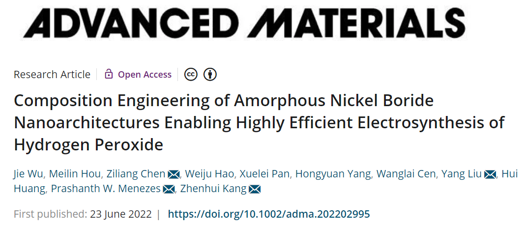 苏大/柏林工业大学AM：无定形NiB2用于高效电合成H2O2