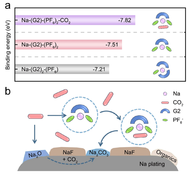 强！一周内连发Nature子刊和JACS，这个团队成果斐然！