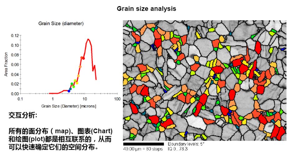 秒懂干货丨EBSD的工作原理、结构、操作及分析