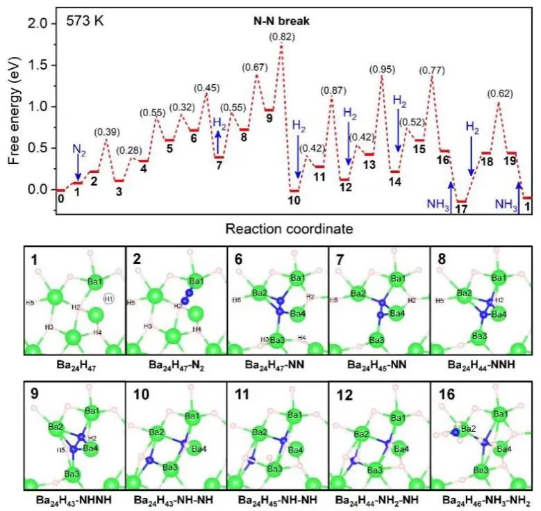 Angew.: 无过渡金属催化剂亦有高性能！BaH2实现高效固氮和氨合成